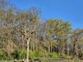 IMG-20250412-WA0003