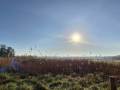 IMG-20250412-WA0005