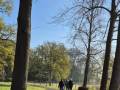 IMG-20250412-WA0007