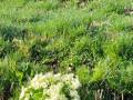 IMG-20250414-WA0006