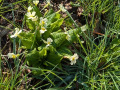 PXL_20250412_070930467