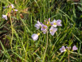 PXL_20250412_071024916