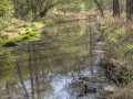 PXL_20250412_075032883