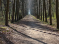 PXL_20250412_075443745