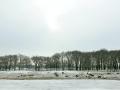 01-DSC09317-.