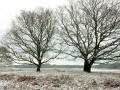 02-DSC09319-