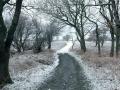 03-DSC09321-