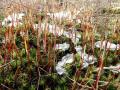 09-DSC09368-
