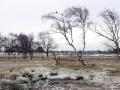 10-DSC09344-.