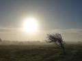 13-DSC09060-.