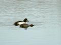 18-DSC09598-