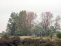 03-DSC0903-Middenveld.