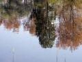 08-DSC09351-Waterspiegeling.