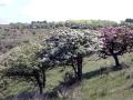01-DSC01195-