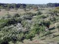02-DSC01064-