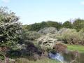 03-DSC01209-