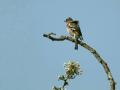 04-DSC01077-