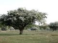08-DSC01205-