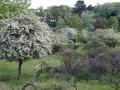 09-DSC01207-