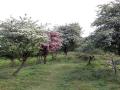 14-DSC01206-