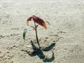 16-DSC01145-
