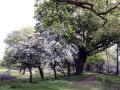 20-DSC01371-