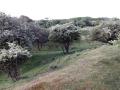 22-DSC01224-