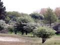 23-DSC01337-