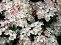 24-DSC01401-