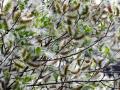 25-DSC01416-
