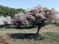 27-DSC01355-