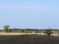 005 DSC00096 Groot Zwarteveld.