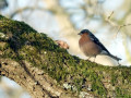02-DSC02237-