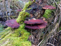 05-DSC01521-