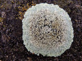 06-DSC02058