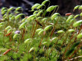 08-DSC02247-