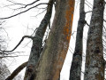 09-DSC02343-