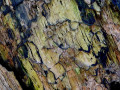 13-DSC02315-