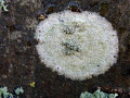 19-DSC02300-