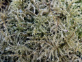21-DSC02402-