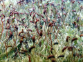 24-DSC02411-