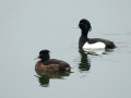 28-DSC02073-