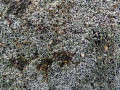 32-DSC02047-