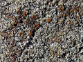 39-DSC01784-