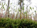 41-DSC02084-