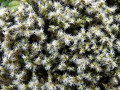 42-DSC02367-