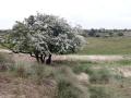 01-DSC02410-n