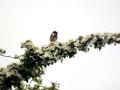 02-DSC02420-