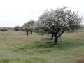 04-DSC02412-
