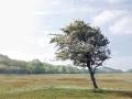06-DSC02971-